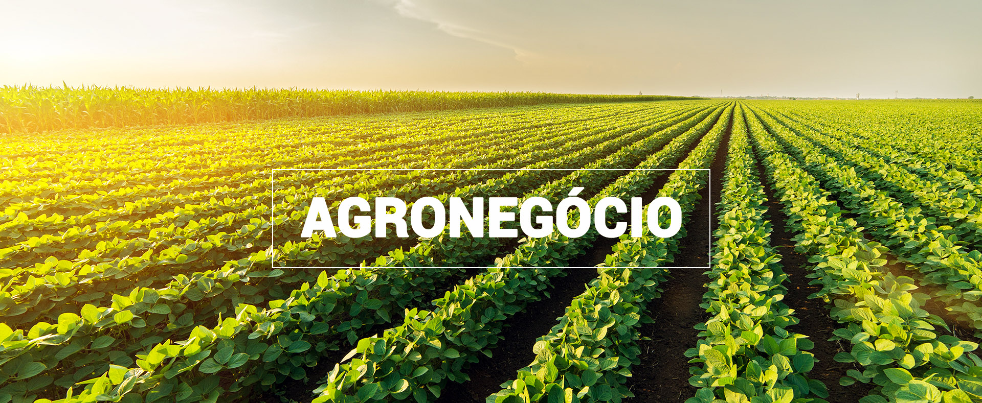 Agroflorabrasil